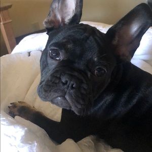 Meet your Posher, Camille